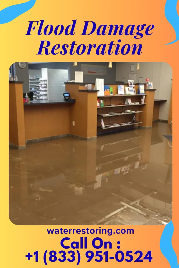 Flood Damage Restoration in Borden, IN