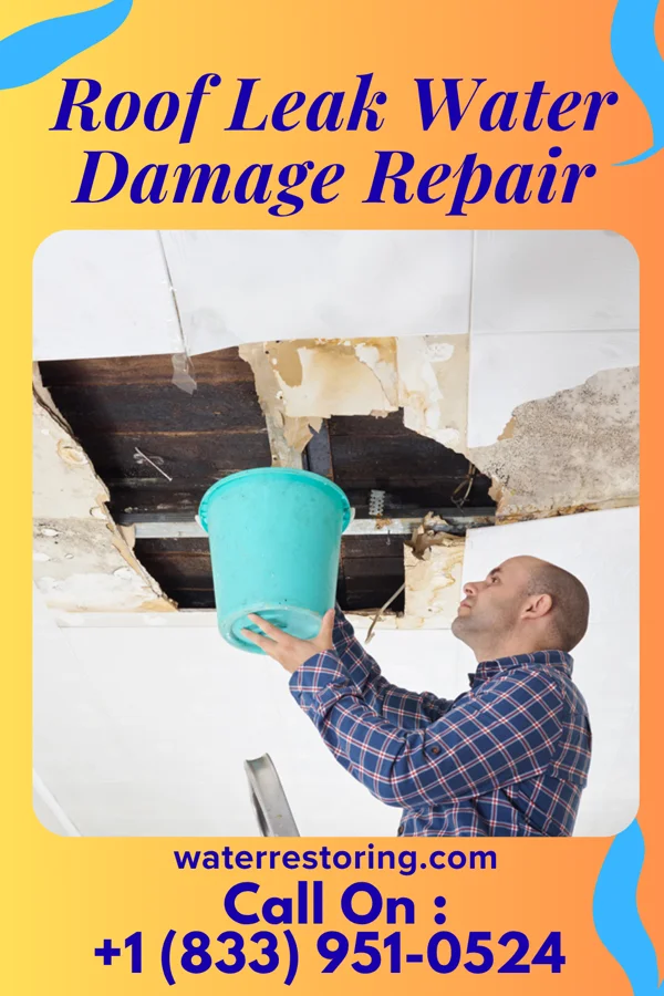 Roof Leak Water Damage Repair in Borden, IN