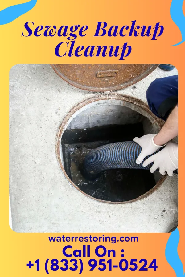 Sewage Backup Cleanup in Borden, IN