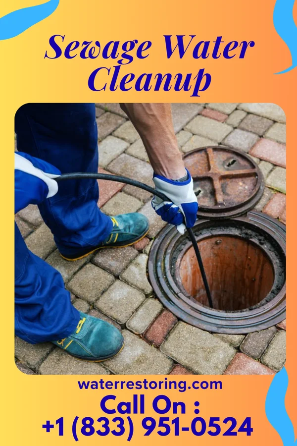 Sewage Water Cleanup in Borden, IN
